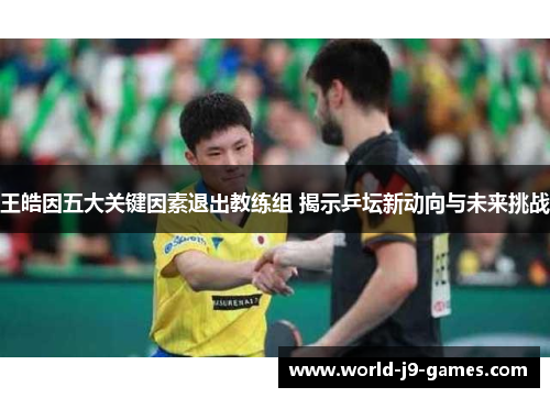 王皓因五大关键因素退出教练组 揭示乒坛新动向与未来挑战